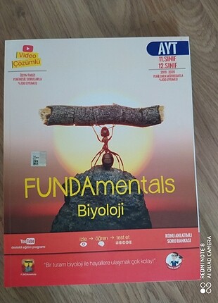 Ayttttt