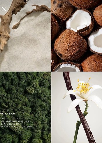 DédÉ Dualité Kadın Parfümü 50 ml - Görsel 3