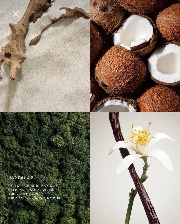 DédÉ Dualité Kadın Parfümü 50 ml - Görsel 3