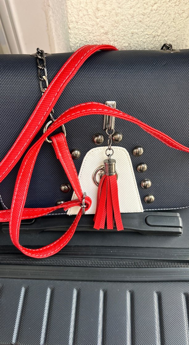 Kırmızı Zincir Detaylı sınni Deri Kadın Çanta - Görsel 5