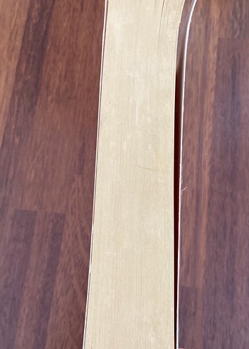 Ahmet Ümit Elveda Güzel Vatanım - Görsel 4