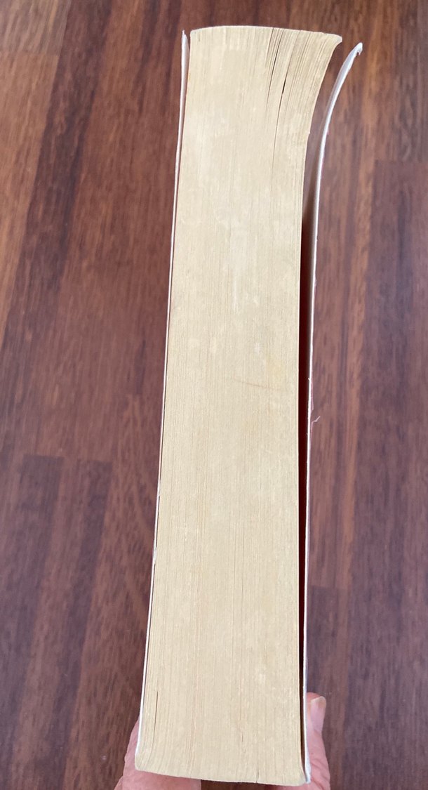 Ahmet Ümit Elveda Güzel Vatanım - Görsel 4