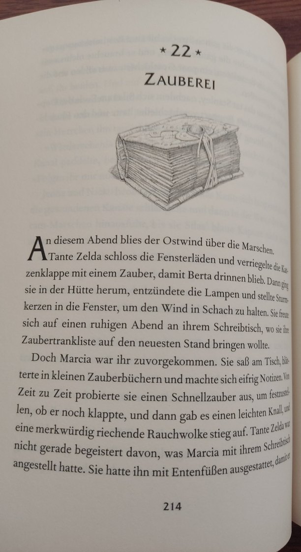 Septimus Heap - Magyk Kitabı - Görsel 2