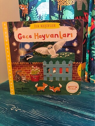 Hareketli kitaplar
