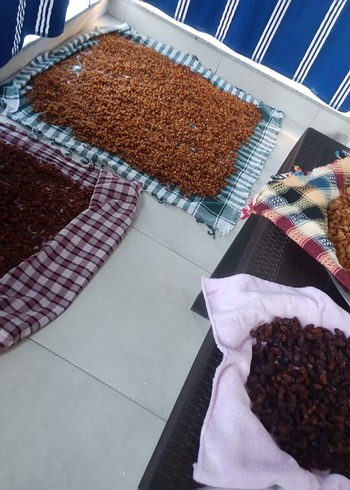  kuru üzüm