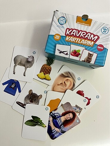 Kavram kartları