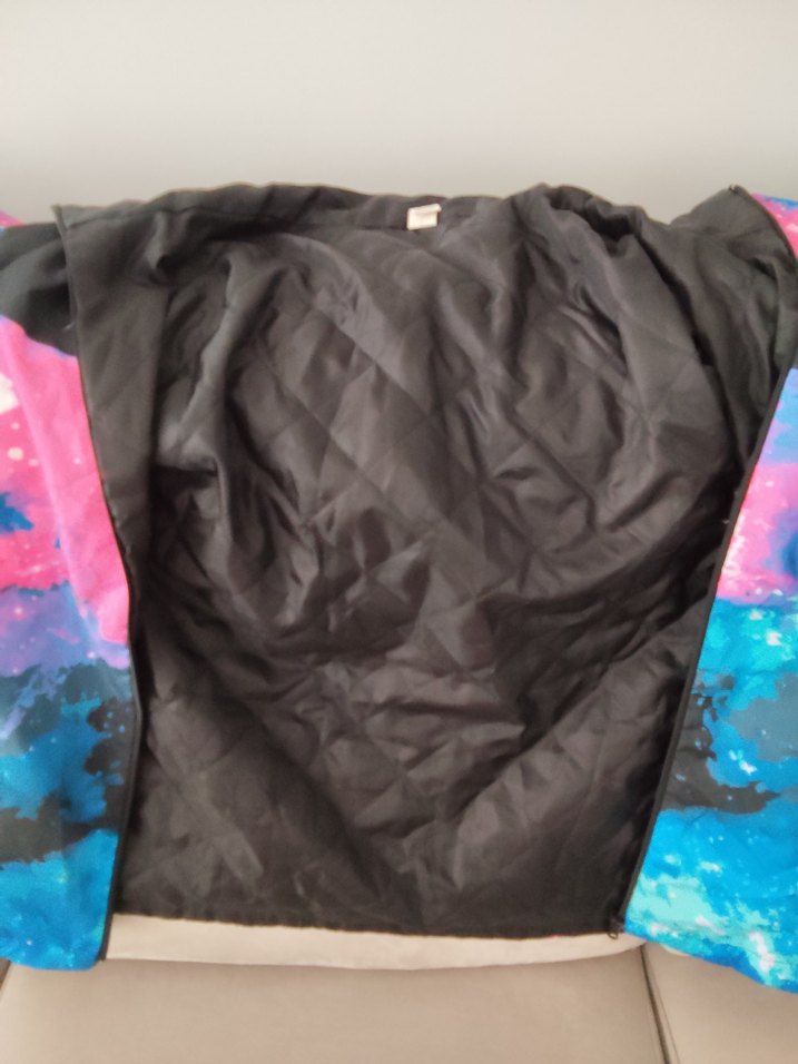 The North Face Renkli Bağlama Desenli Erkek Mont - Görsel 3