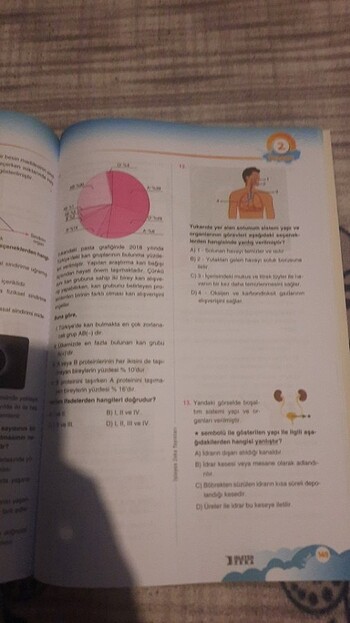 Yörünge fen bilimi 6 cı sınıf soru bankasi - Görsel 4