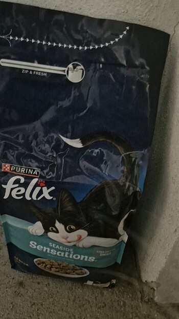 Kedi maması 