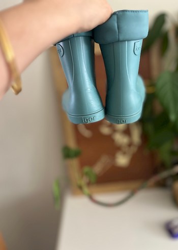 Igor Igor bot 27 numara