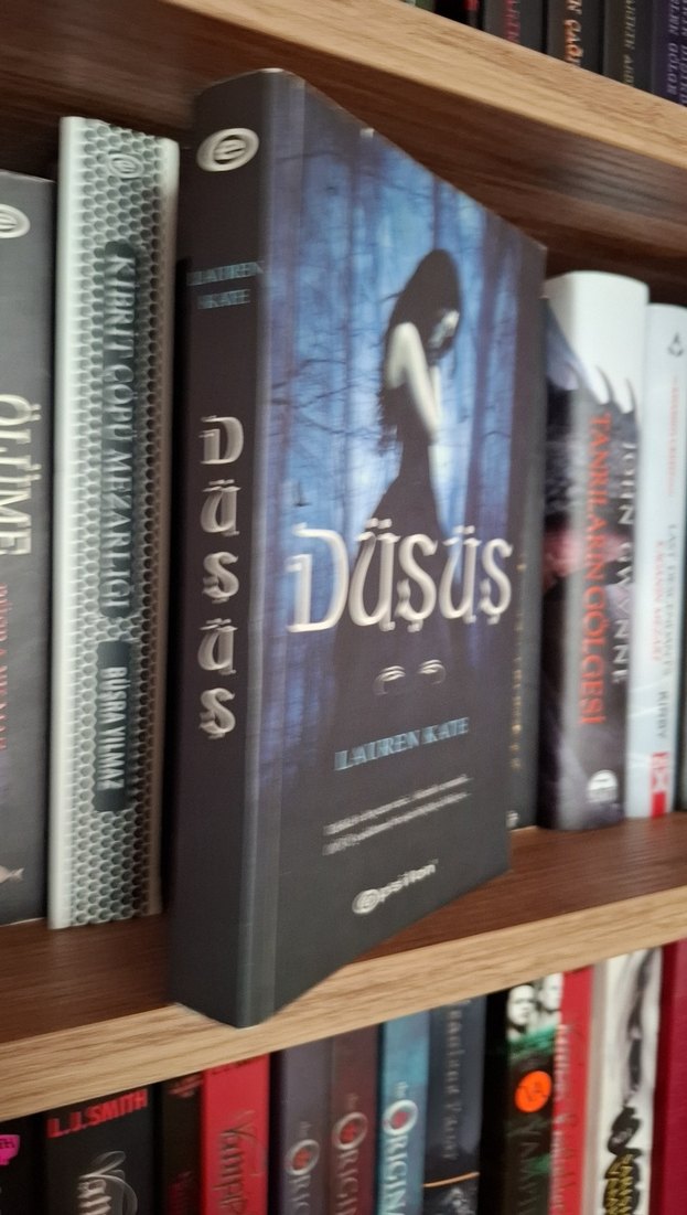 Düşüş - Lauren Kate - Görsel 2