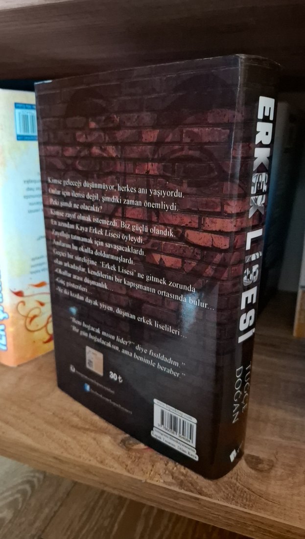 Erkek Lisesi - Tuğçe Doğan - Görsel 2