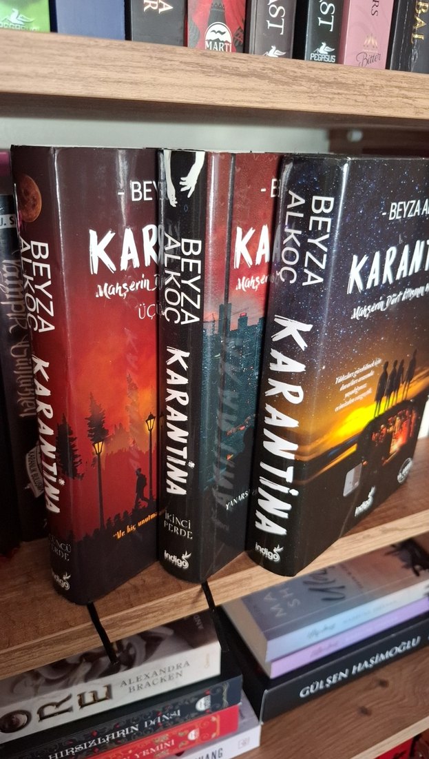 Beyza Alkoç - Karantina Roman Seti - Görsel 3
