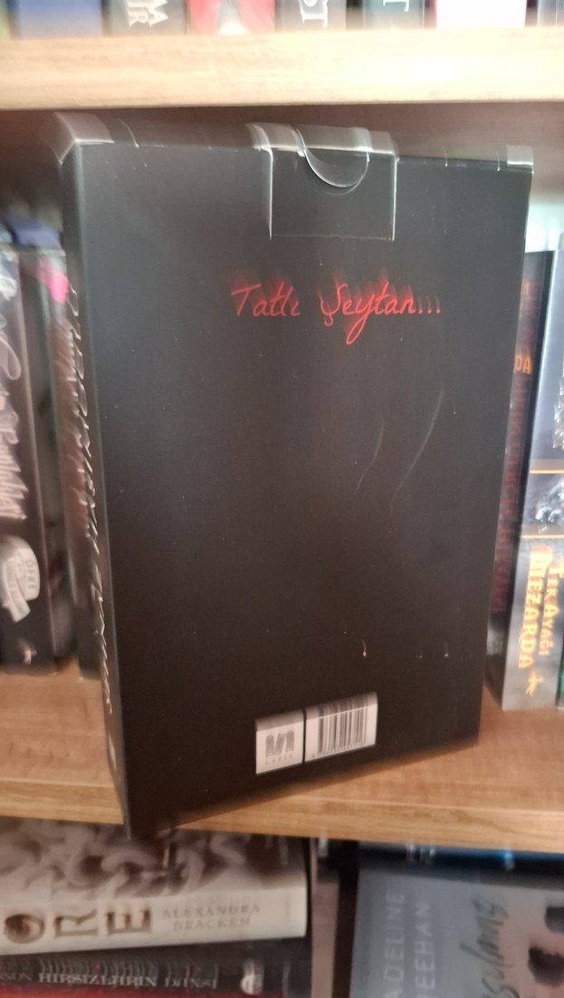 Acı Ruhlar Ve Kasvetli Bedenler - Görsel 3