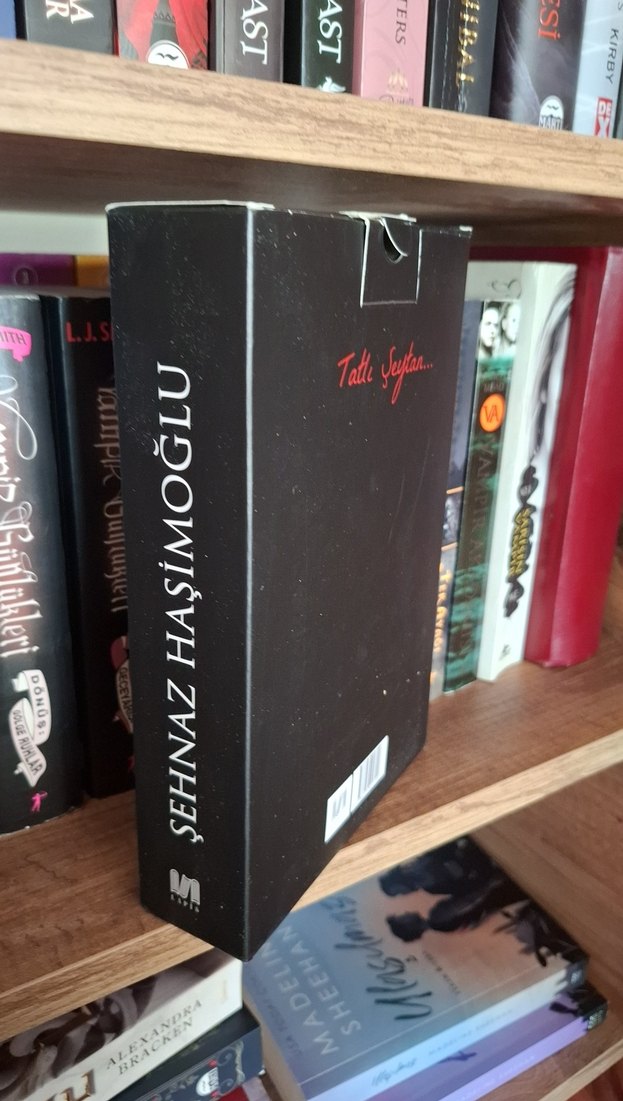 Acı Ruhlar Ve Kasvetli Bedenler - Görsel 2