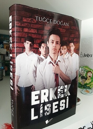 Erkek Lisesi