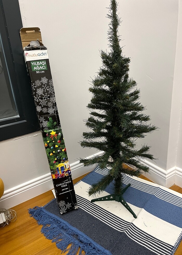 Çam agacı - Görsel 2