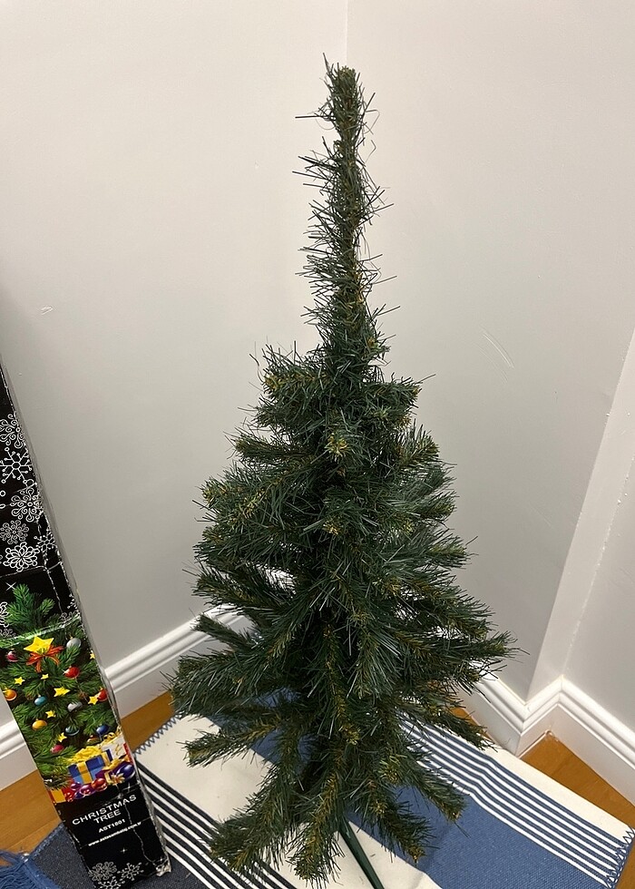 Çam agacı - Görsel 4