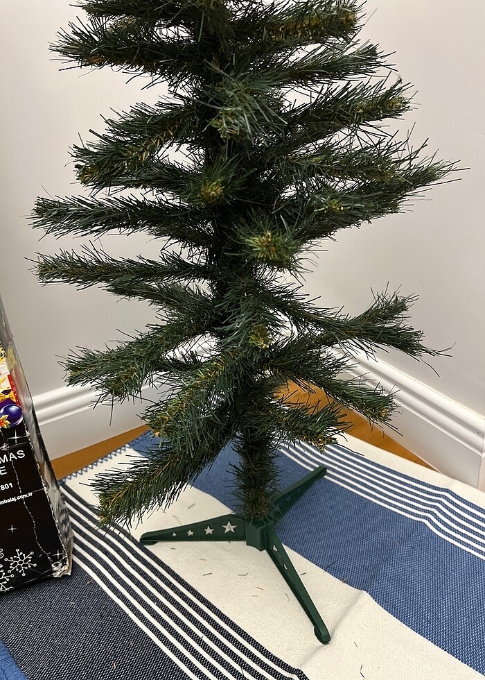 Çam agacı - Görsel 3