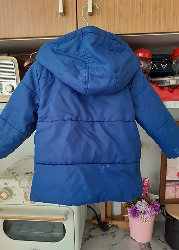 LC Waikiki LCW Erkek Çocuk Parlak Mavi Düğmeli Mont