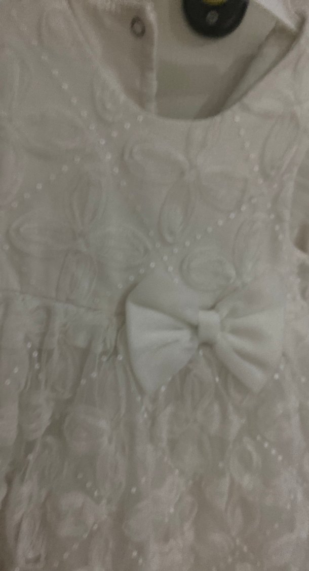 Beyaz Kız Çocuk Fırfırlı Nakışlı Elbise - Görsel 3