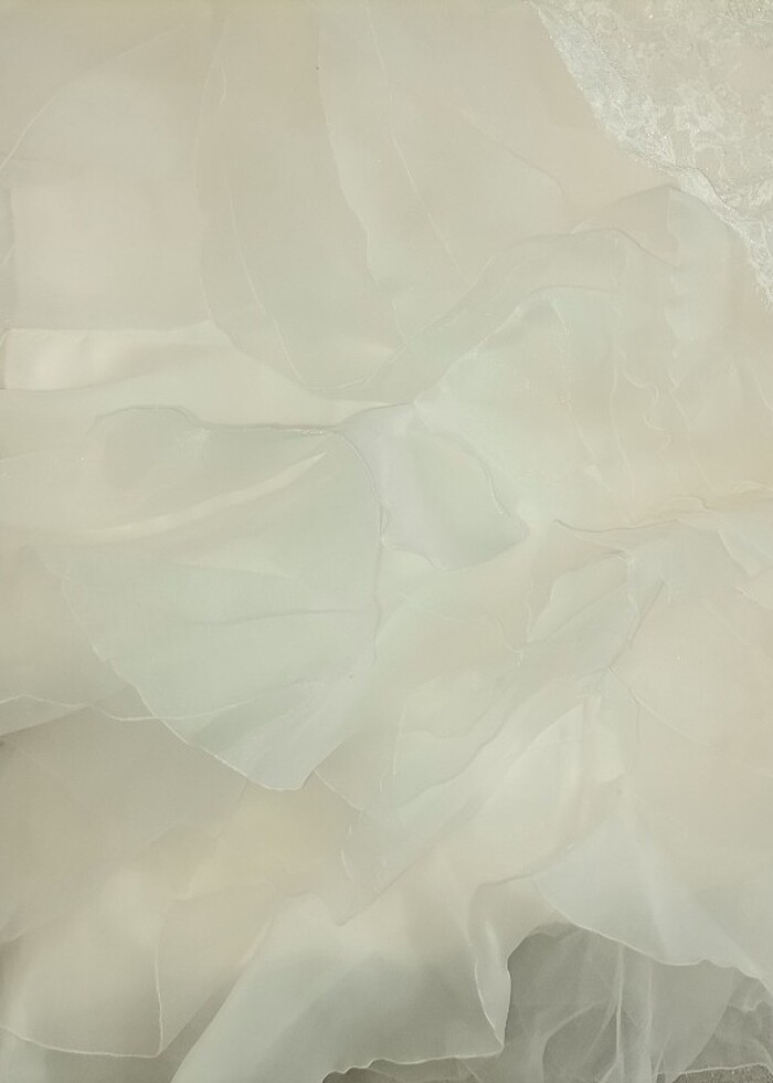 Krem rengi Gelinlik - Görsel 5