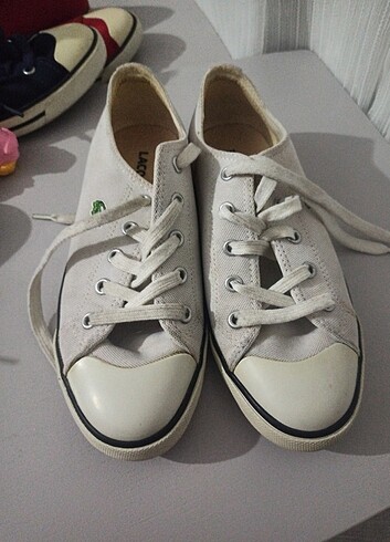 Lacoste converse 