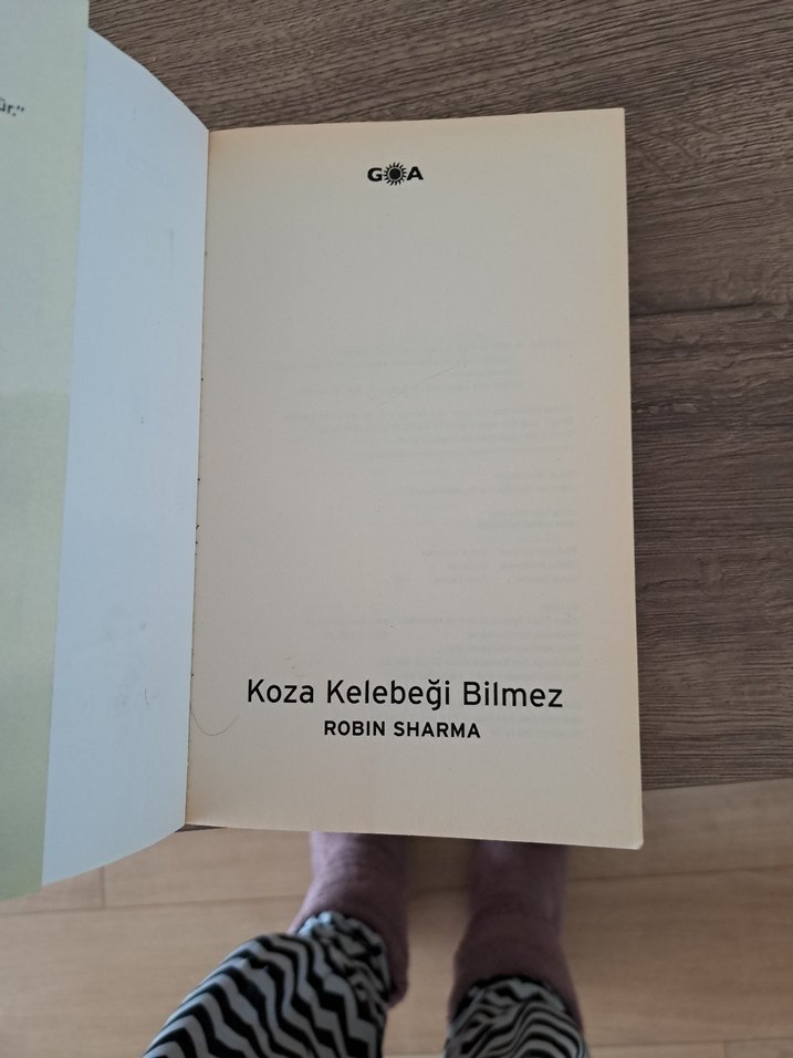 Koza Kelebeği Bilmez - Robin Sharma - Görsel 5