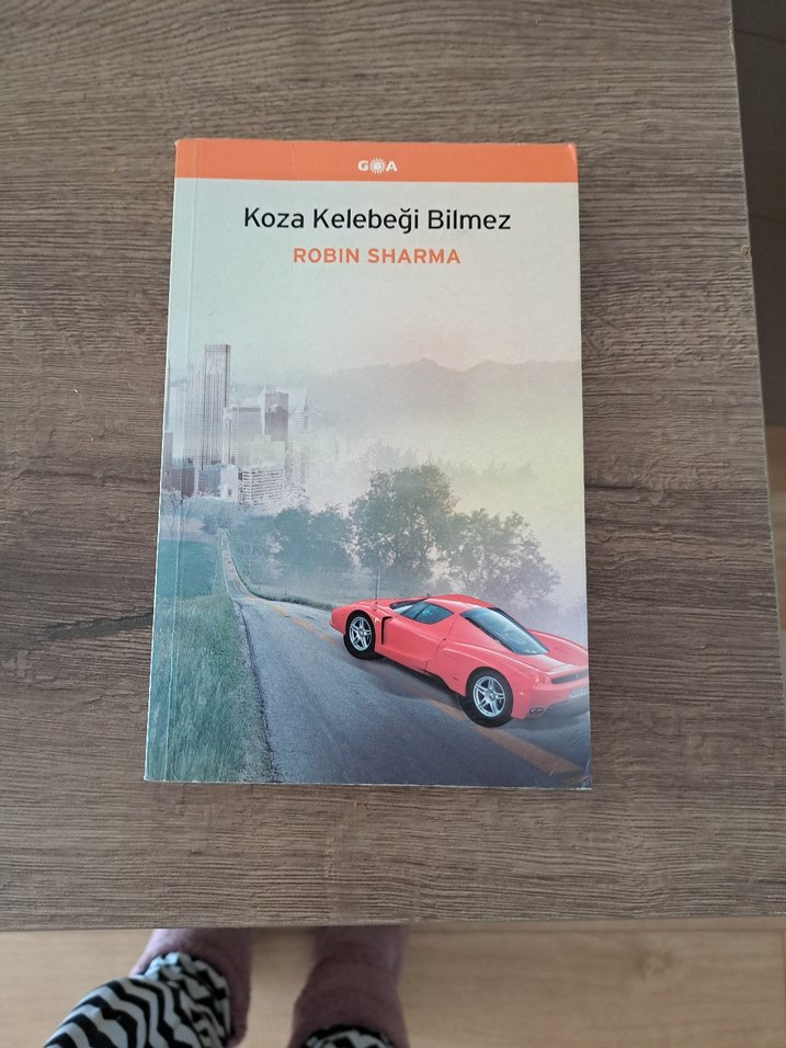 Koza Kelebeği Bilmez - Robin Sharma - Görsel 2