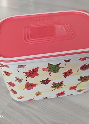 Tupperware saklama kabı