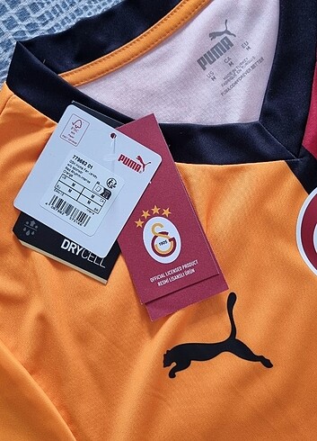 Puma Yeni Sezon Galatasaray Forma