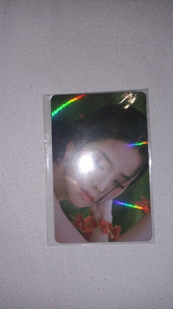 Jisoo me pob hologramli