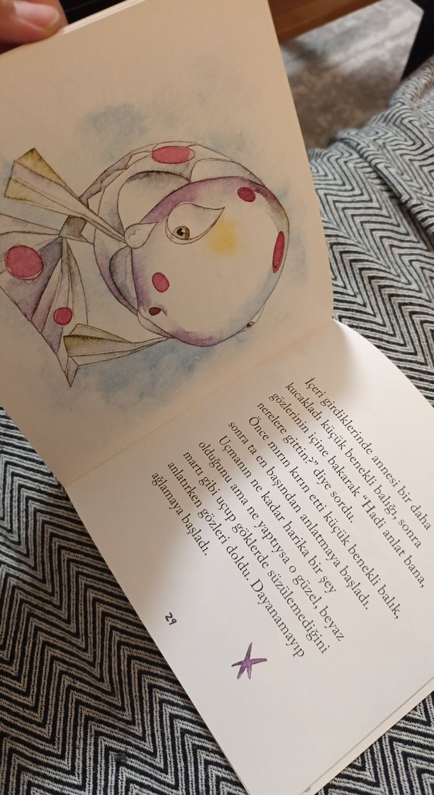 Uçmak İsteyen Balık - Nalan Barbarosoğlu - Görsel 3