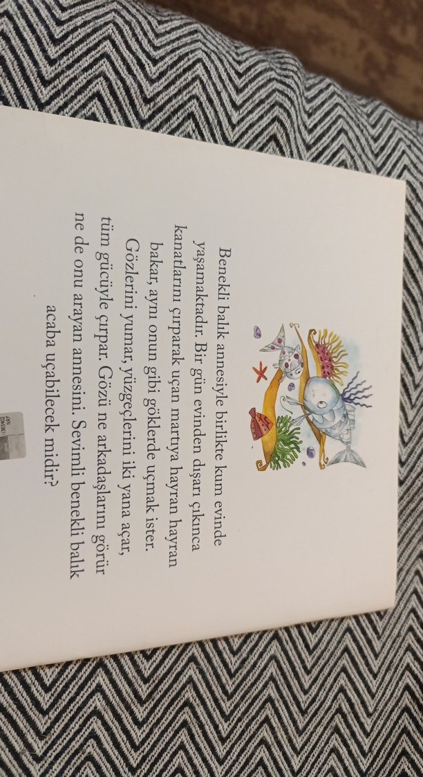 Uçmak İsteyen Balık - Nalan Barbarosoğlu - Görsel 2