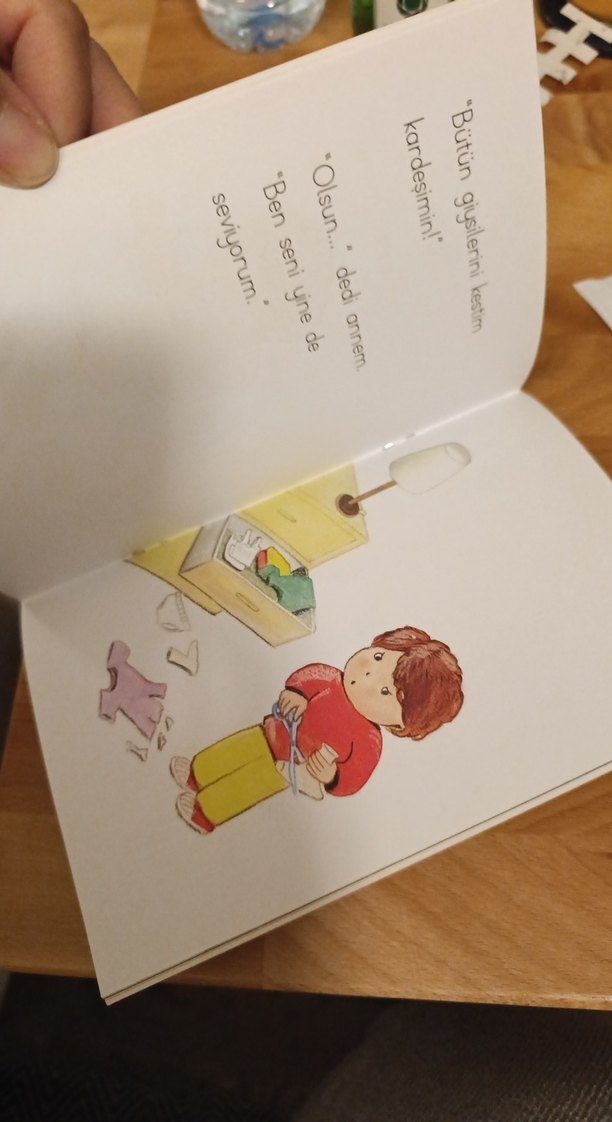 Seni Seviyorum - Fatih Erdoğan - Görsel 3