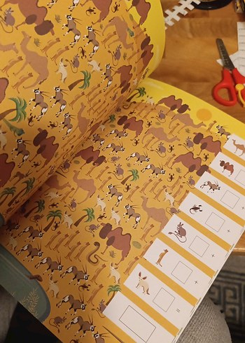 Doğada Saklambaç Kitabı - Agnese Baruzzi - Görsel 7