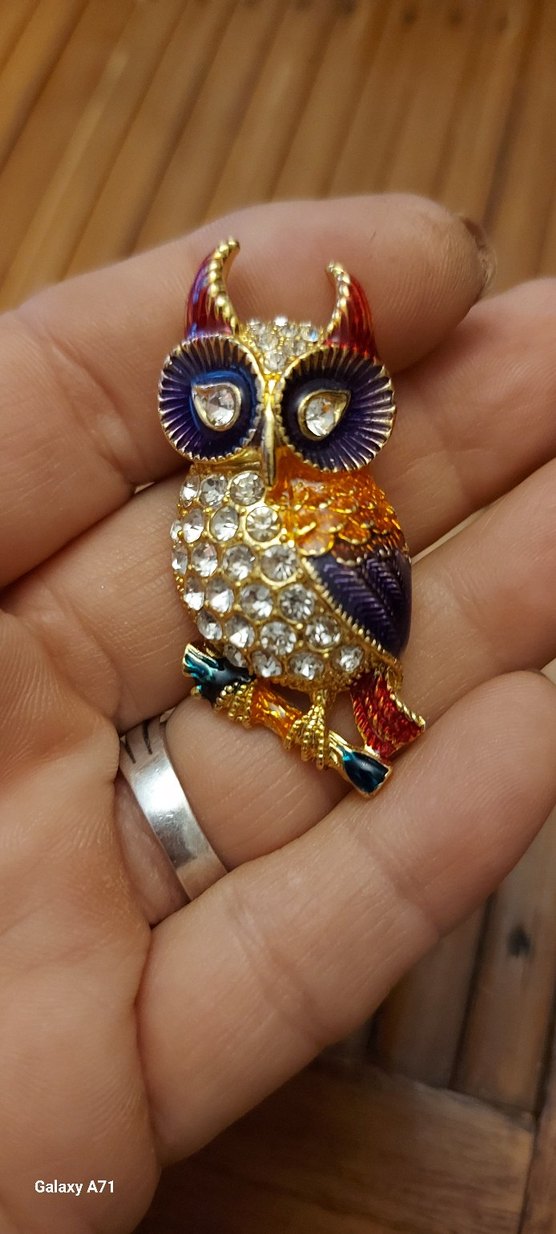 Renkli İşlemeli Baykuş Broş - Görsel 4