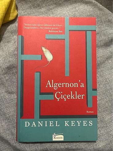 Algernon?a Çiçekler