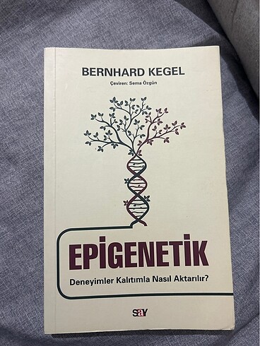 Epigenetik Deneyimler Kalıtımla Nasıl Aktarılır