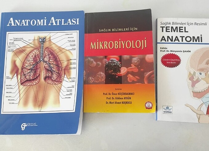 Temel anatomi kitabı