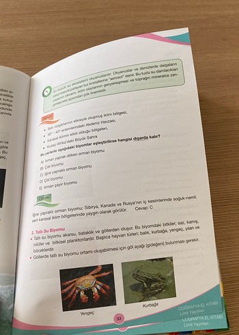  Beden Renk AYT Coğrafya El Kitabı - Limit Yayınları