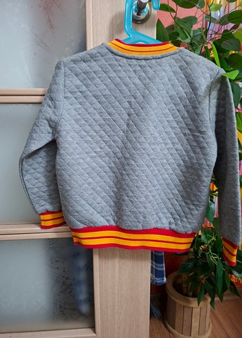 Düğmeli Gri Erkek Çocuk hırka Sweatshirt - Görsel 2