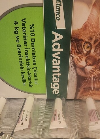 Kedi parazit damlasi