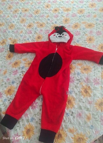 Uyku tulumu 