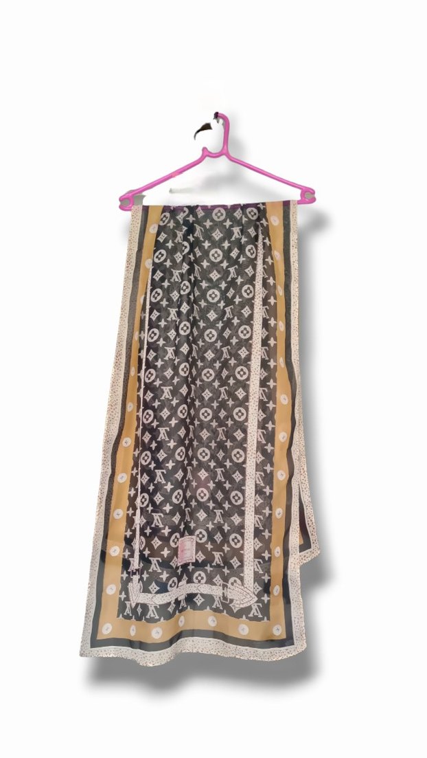 Louis Vuitton Monogram Fular - Görsel 3