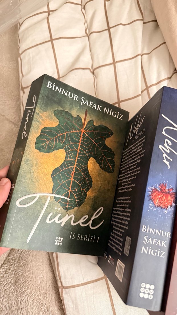 Binnur Şafak Nigiz - İs serisi - Görsel 2