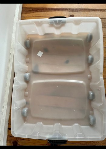 Beden Renk Tekerlekli plastik saklama kutusu