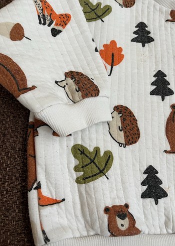 LC Waikiki sweatshirt - Görsel 3