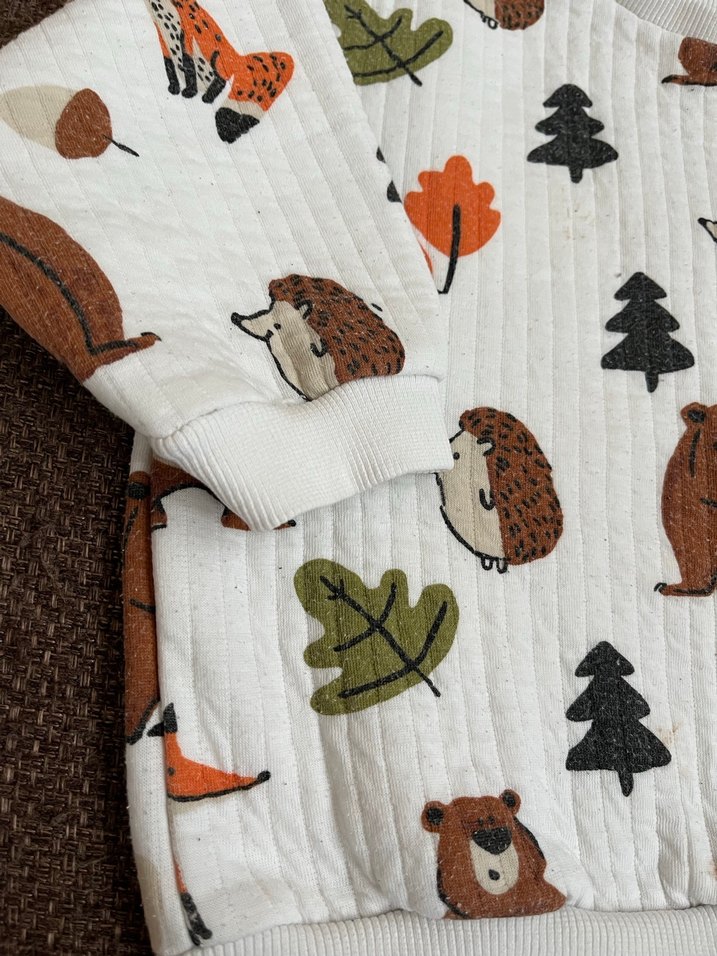 LC Waikiki sweatshirt - Görsel 3