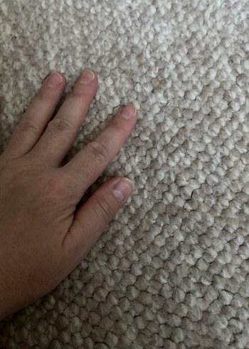 Vizon renk - Görsel 7